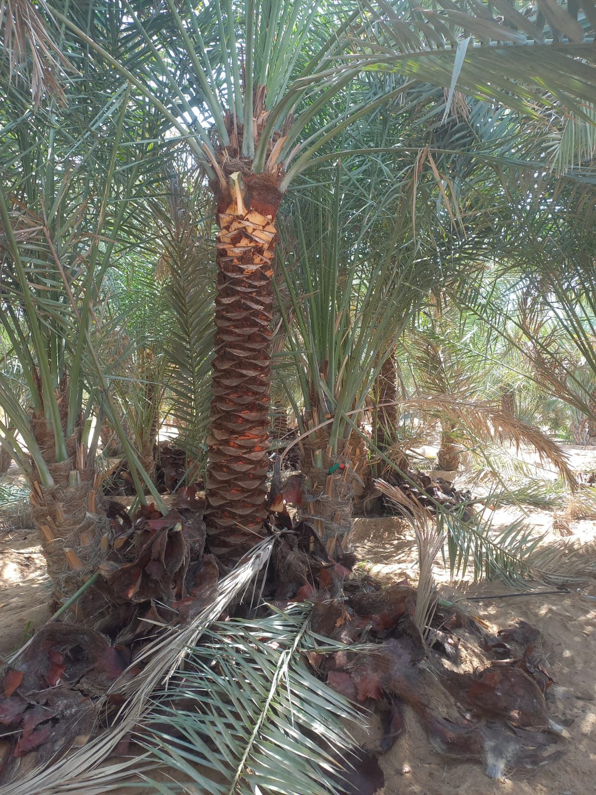 IMG 20260922 WA0033