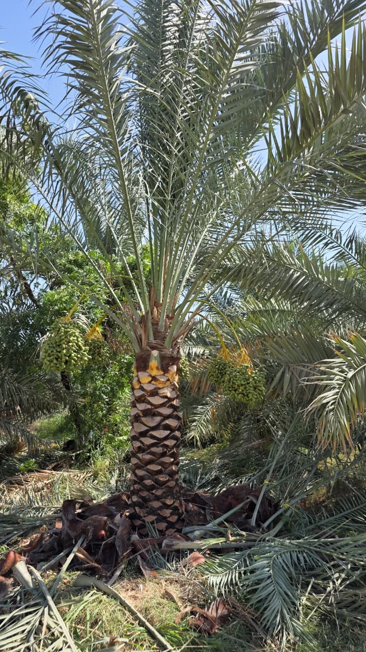 IMG 20260922 WA0034